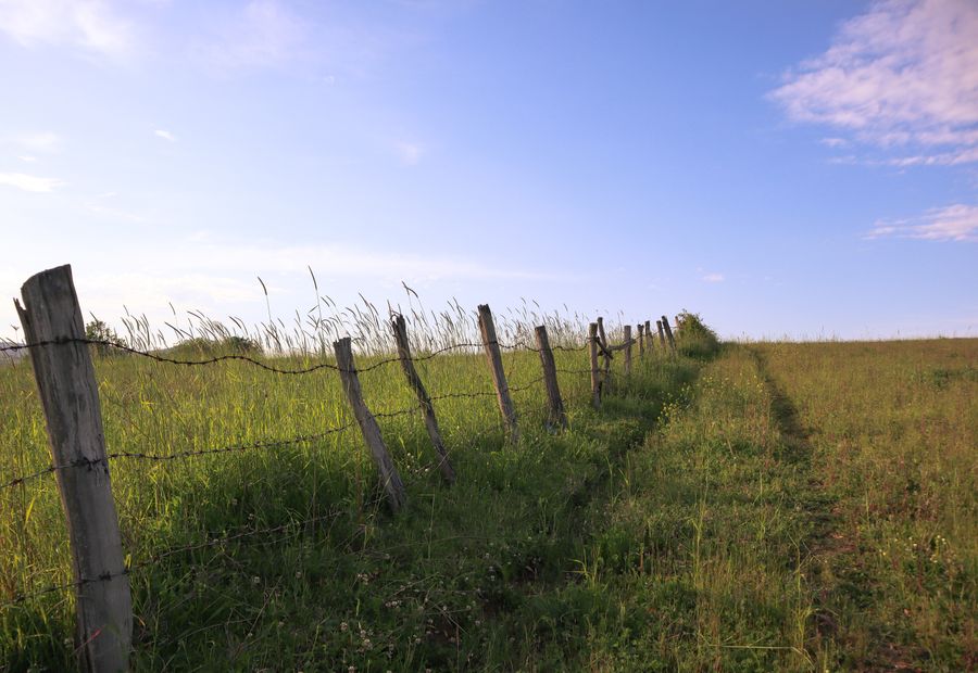 Five strand barbed wire cattle fence on hedge posts with a wood corner assembly