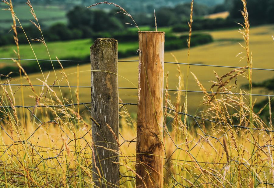 High tensile smooth wire fence with in-line strainers and tension springs on a pasture run
